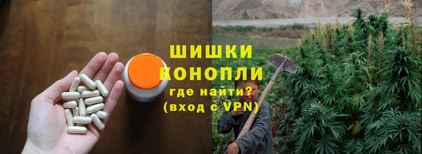 гашик Новодвинск
